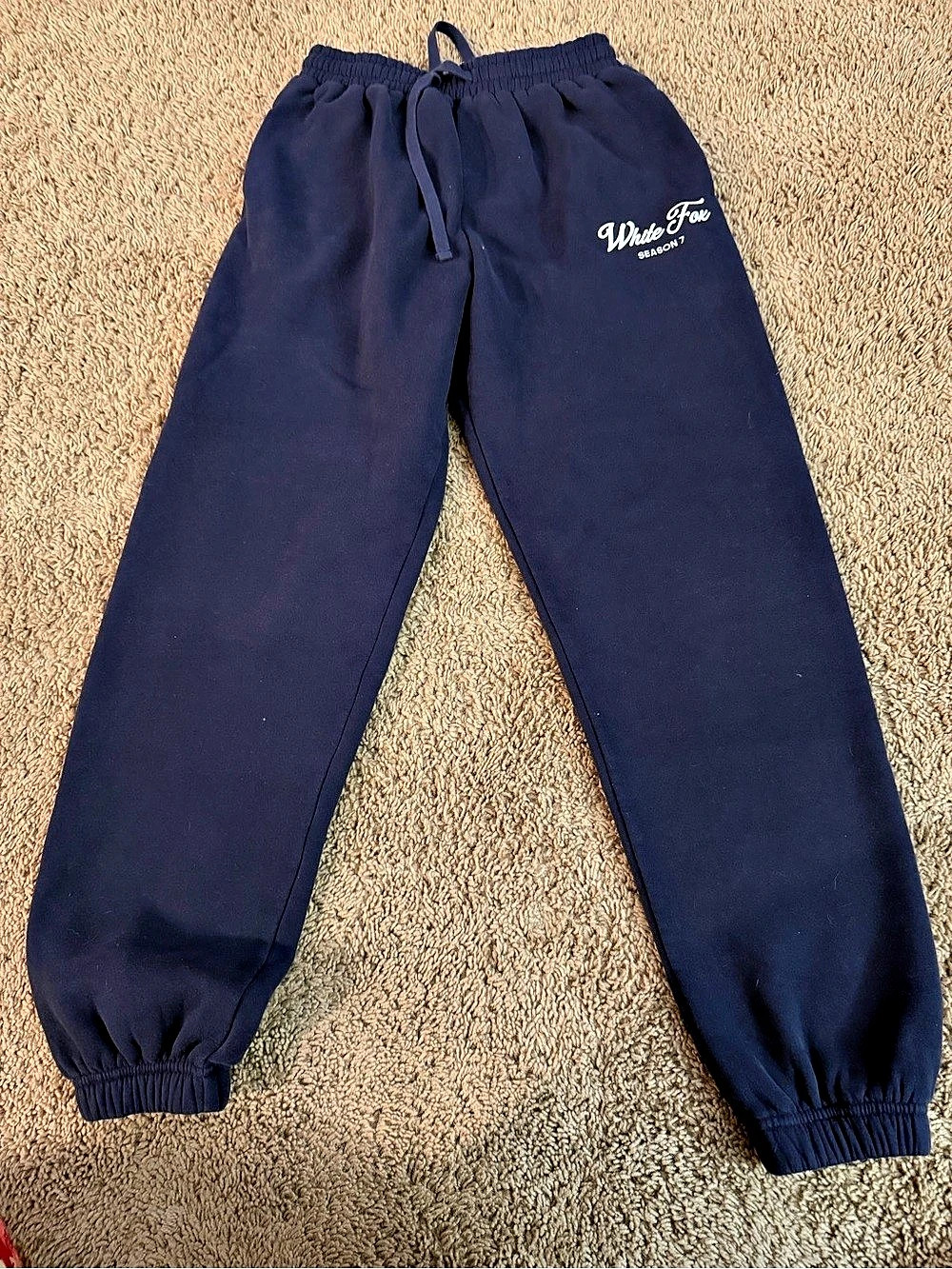 Jogger Pants in Blue Size XS Like New